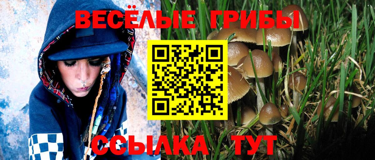 Кисловодск  закладки  Вход с VPN  Псилоцибиновые грибы Cubensis 