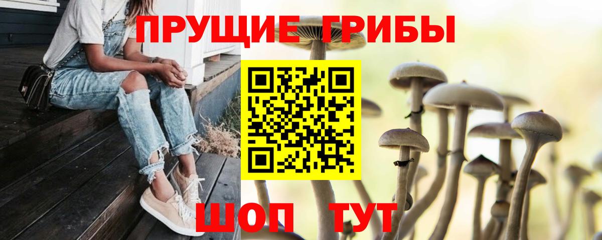 Галлюциногенные грибы GOLDEN TEACHER Кисловодск